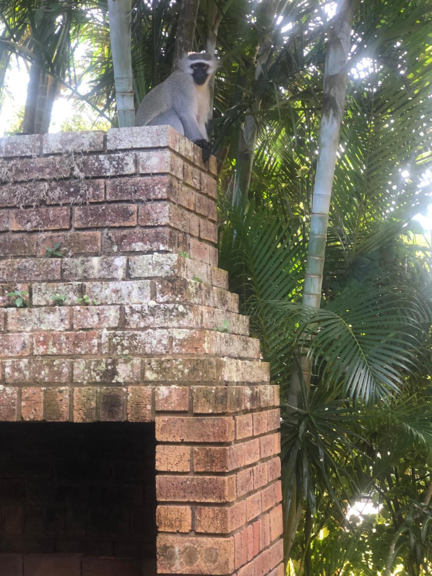 El Seuno De Africa -The Dream Of Africa Villa St Lucia Exterior photo
