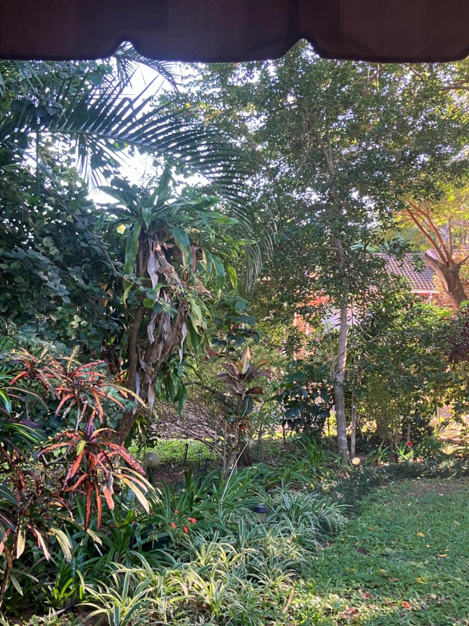 El Seuno De Africa -The Dream Of Africa Villa St Lucia Exterior photo